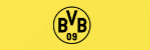 Shop BVB